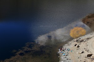 IMG_0190_e